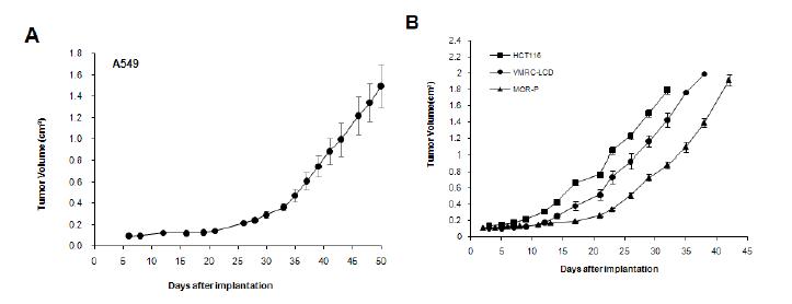 Tumor growth rate in nude mice implantated with A549 cells (A, 1X106 cells) and with three cancer cell lines (B, 4X106 cells)