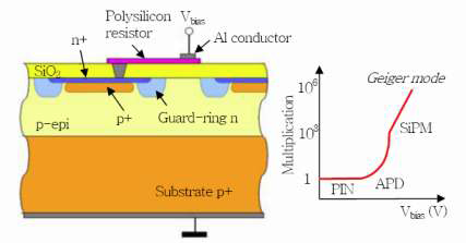 그림 4.3.8 가이거 모드에서 동작하는 실리콘 광전증배관(SiPM