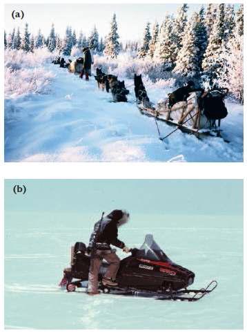 북극 토착민의 운송수단의 기계화; 전통적 운송수단 (a), 전지형 만능 운송차인 All-terrain vehicle (b).