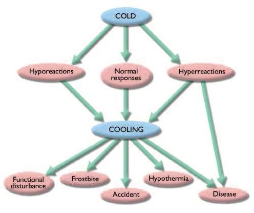 기온과 인간 건강의 상호작용
