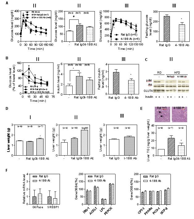 4-1BB stimulation ameliorates glucose intolerance and fatty liver.