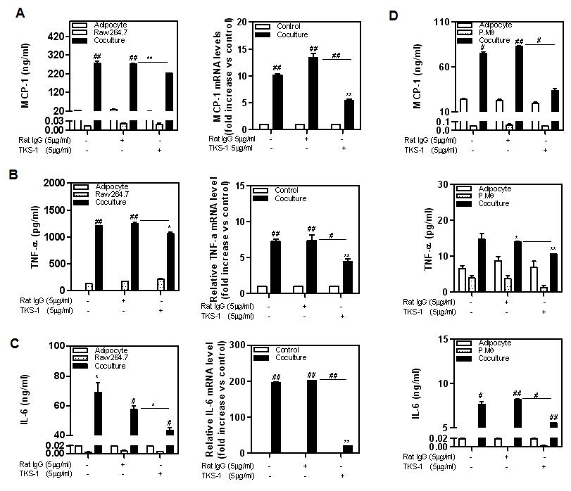 Disruption 4-1BB/4-1BBL crosstalk suppresses the production of inflammatory cytokines in contact coculture system.