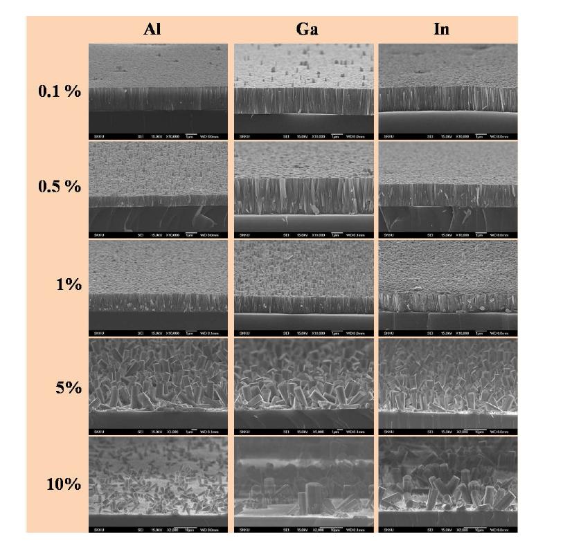 수열 합성법을 사용하여 ZnO 박막을 dopant 의 농도에 따른 나노 구조의 표면 형태.