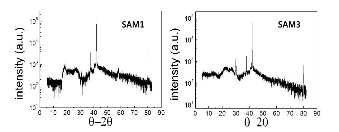 SAM1과 SAM3을 1000℃에서 3시간 열처리한 후의 XRD 분석 결과.