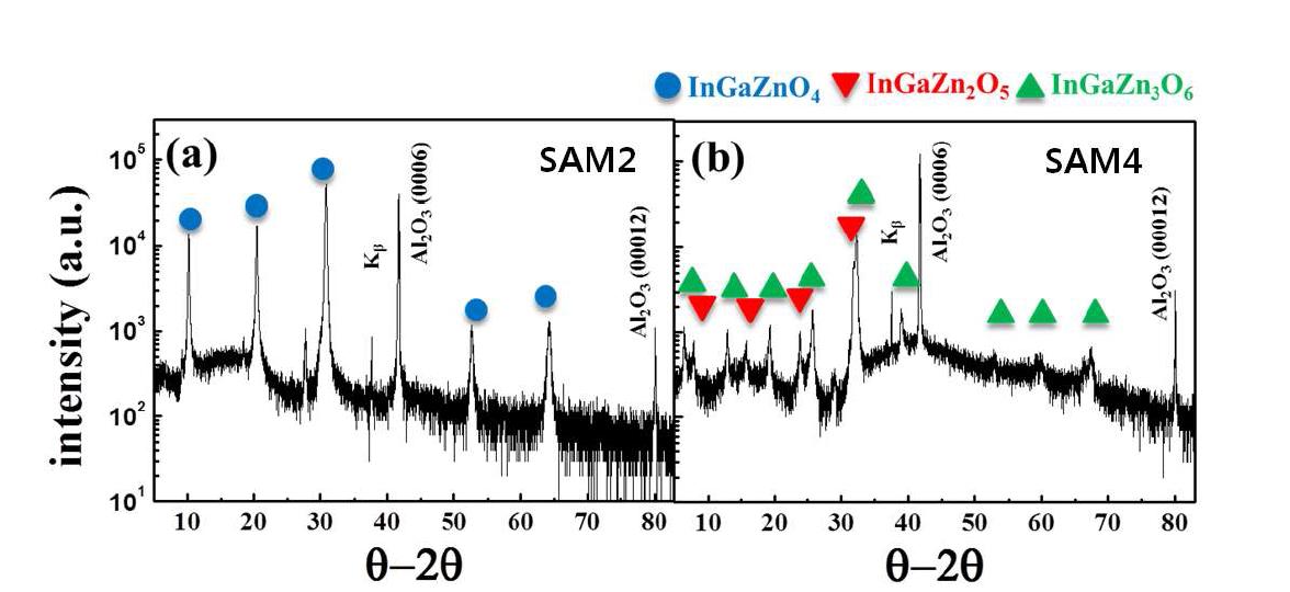 SAM2와 SAM4를 각각 1000℃에서 3시간 열처리한 XRD 분석 결과.