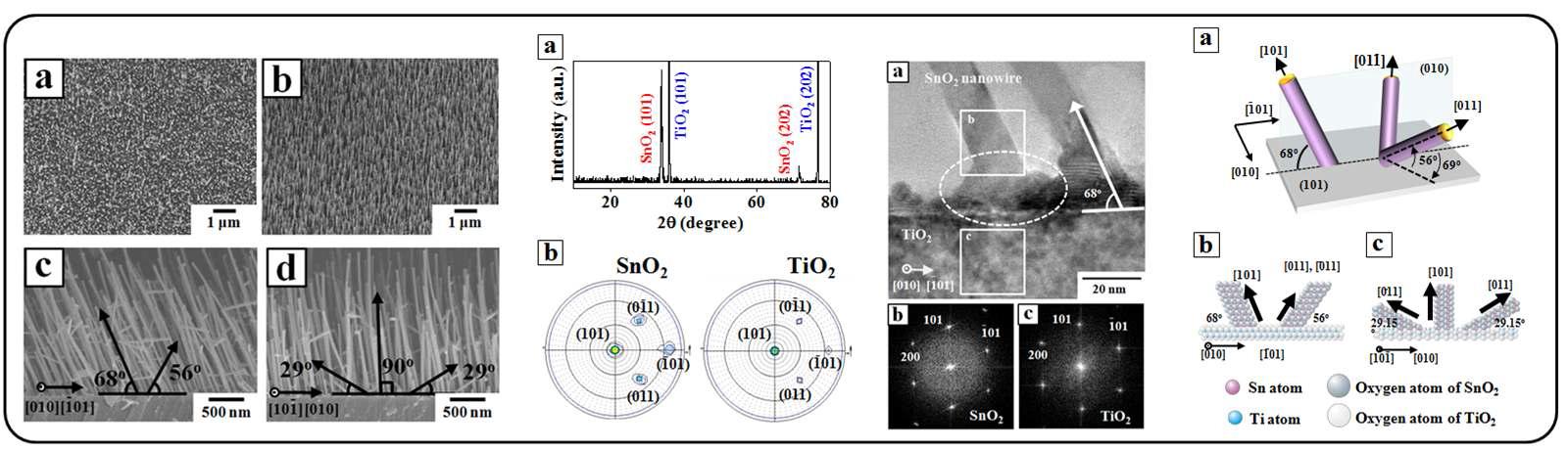 TiO2(101) 기판을 사용하여 성장된 SnO2 나노선의 배향 특성