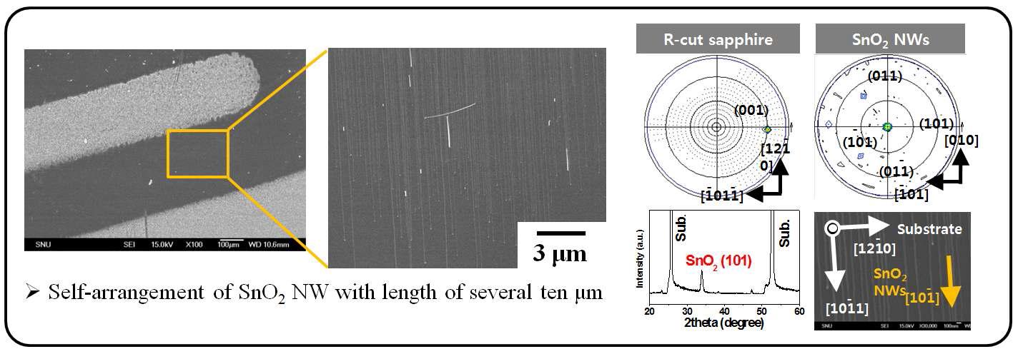 기판과 평행하게 자가 배열된 SnO2 나노선 [preparing]