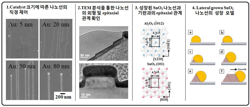나노선의 성장 관찰과 성장 모델 [preparing]
