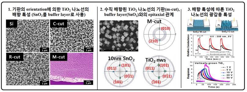 수직 성장된 TiO2 나노선의 결정학적 특성과 광 감응 특성 [submitted]