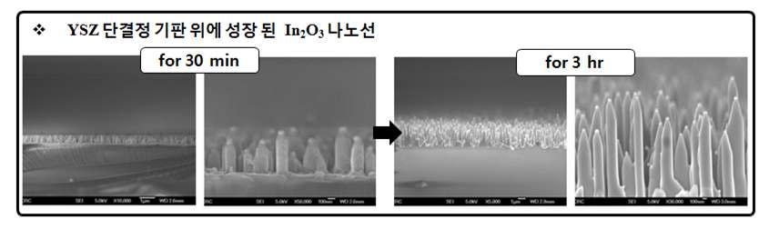 VLS 방법을 이용하여 YSZ 기판위에 성장한 In2O3 나노선 [preparing]