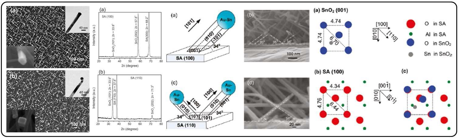 사파이어 a-, m-cut 위에 수직 성장된 SnO2 나노 와이어의 결정학적 구조