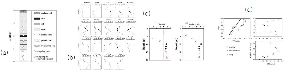 다심도관측정 설치시 획득된 지질주상도(a), 다심도관측정에서 얻어진 수질자료(b), 능철석(siderite) 및 능망간석(rhodochrosite)에 대한 포화지수(c), 동위원소분석을 통한 지하수기원분석(d).