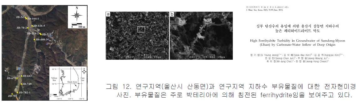 그림 12. 연구지역(울산시 산동면)과 연구지역 지하수 부유물질에 대한 전자현미경사진