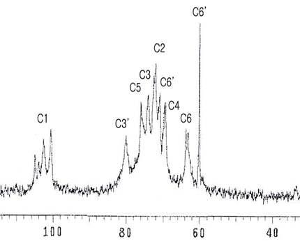 C-NMR spectrum of beta-glucans from Grifola frondosa.