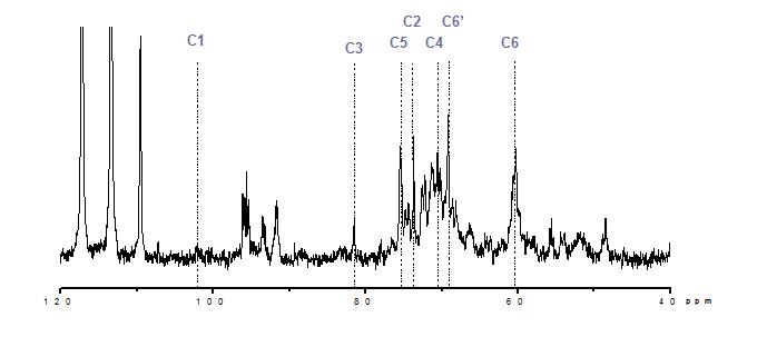 C-NMR spectrum of beta-glucan extracted from Phellinus linteus.