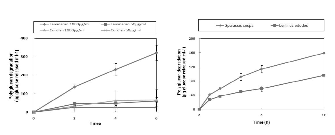Hydrolysis curves of laminaran and curdlan (left) and β-glucan-rich-polysaccharides extracted from Sparassis crispa and Lentinus edodes (right) by Westase.