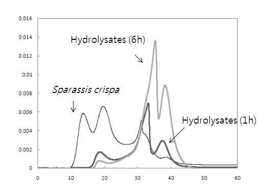 Molecular weight distribution of β-glucan-rich-polysaccharide extracted from Sparassis crispa and its partial hydrolysates.