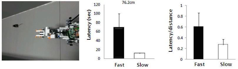 포식자 로봇의 속도에 따른 탐색 시간과 거리의 차이