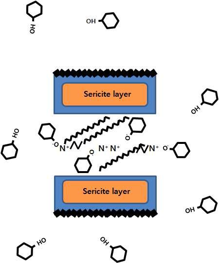 Schematic illustration of phenol adsorption mechanism using the modified organo sericite.