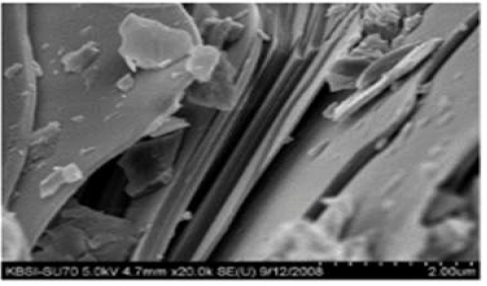 SEM image of sericite.