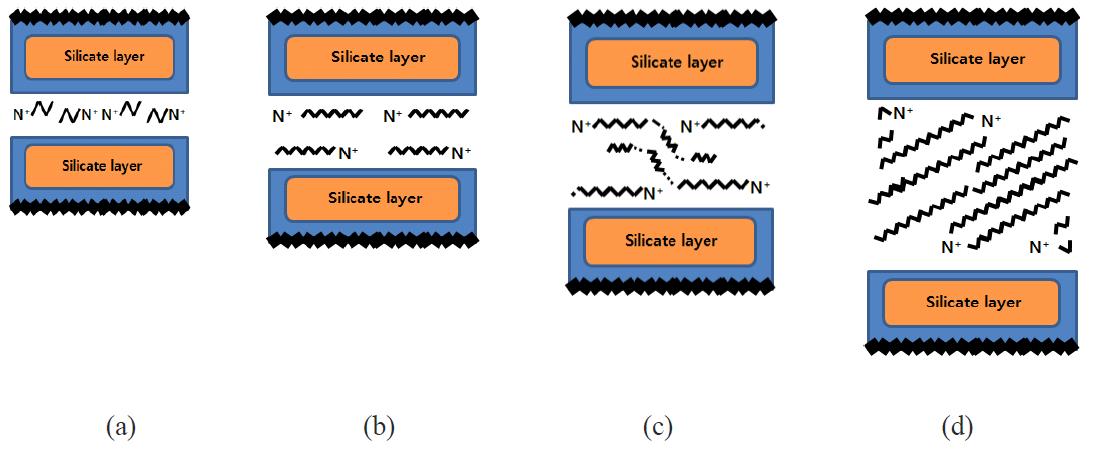 Orientation of alkylammonium ions in the galleries of layered silicates: (a) monolayer,