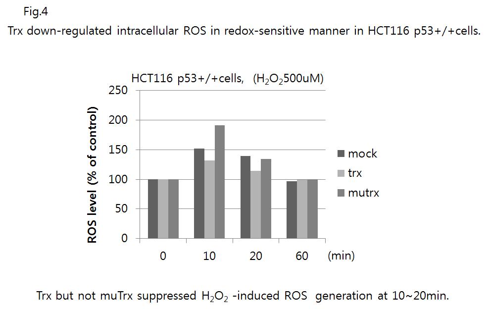 Thioredoxin down-regulated intracellular ROS levels in a manner dependent on redox-activity of Trx.