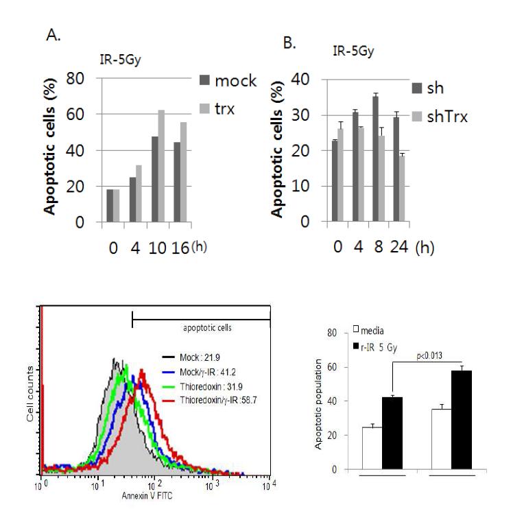 Thioredoxin exerts pro-apotptic effects on γ-IR-induced HCT116 tumor cell apoptosis: promotion of apoptosis by thioredoxin.