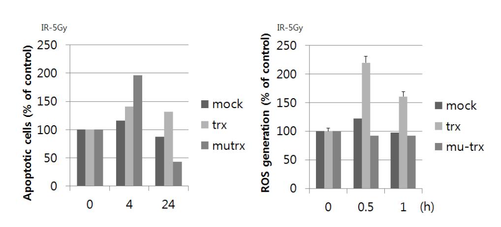 Thioredoxin over-expression in p53-deficient cells increases the apoptosis induced by γ-IR.