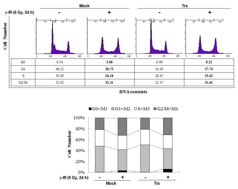 Effect of thioredoxin on the γ-IR-induced cell cycle changes of HCT116 cells.