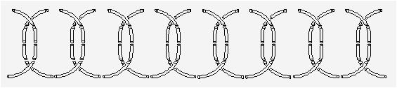 8채널 SN(Substantia Nigra) 코일