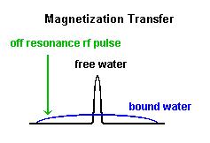자화 전이 영상을 얻기 위하여, 추가적인off-resonance RF pulse를 인가함