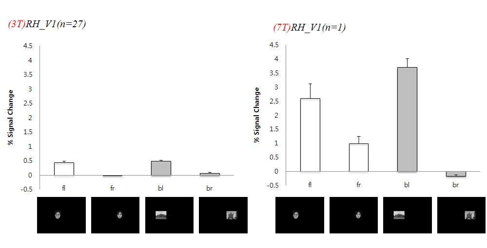 3T와 7T에서의 1차 시각 피질에서의 BOLD 신호 값 비교