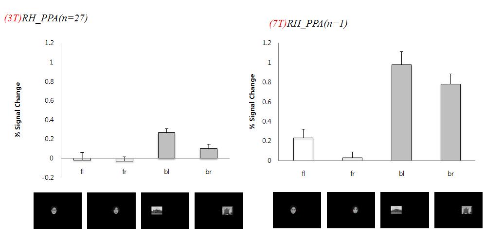3T와 7T에서의 PPA에서의 BOLD 신호 값 비교