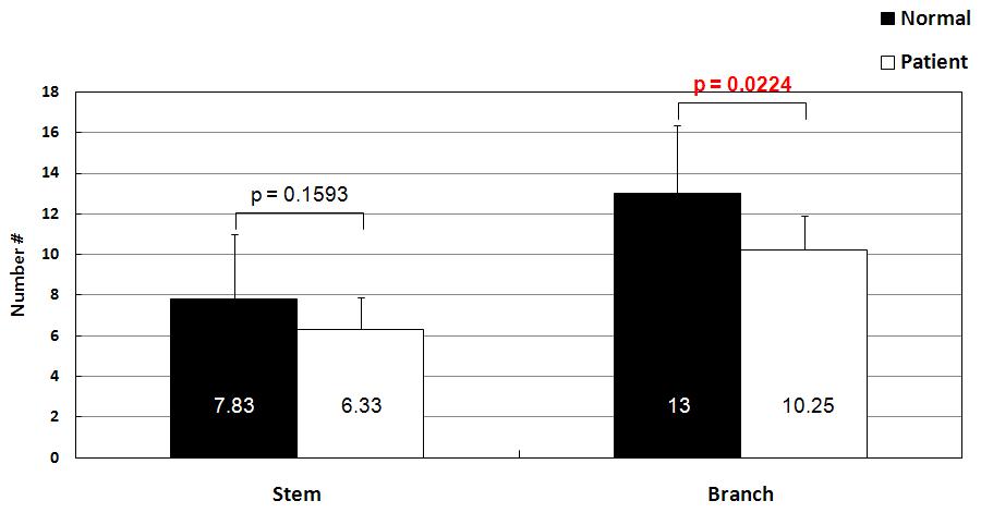 미세 혈관 질환 환자와 정상인 그룹 사이의 (좌) 천공동맥 stem 평균 개수 (p = 0.1593) 와 (우) branch 평균 개수 (p= 0.0224) 차이