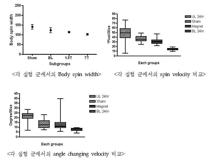 magnetic static field 노출 실험