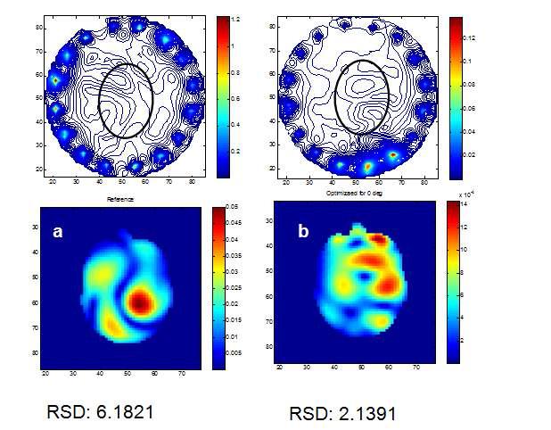 (a) Optimization을 수행하지 않은 RF field 분포, (b) Optimization을 수행한 이후의 RF field 분포