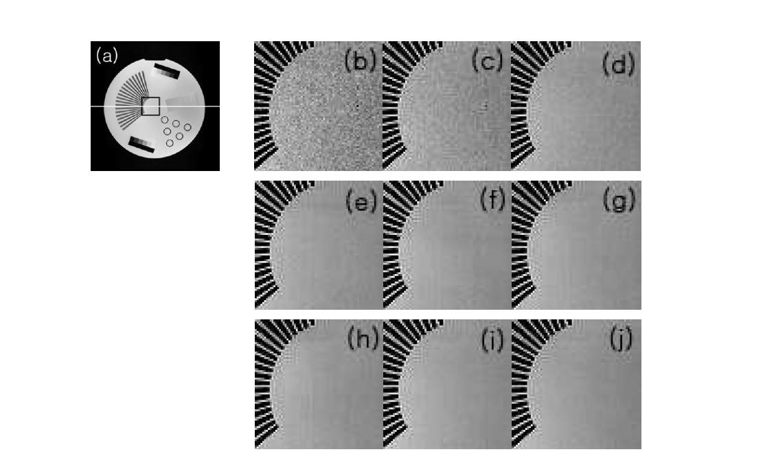(a) k-space data를 이용하여 재구성한 영상, (b)-(d) receiver의 gain이 각각 0 dB, 6 dB, 12 dB, 18 dB, 24 dB, 30 dB 일때 재구성한 영상, (h)-(i) gain control 된 receiver의 샘플링 레벨이 각각 14, 15, 16 bit 일 때 재구성한 영상