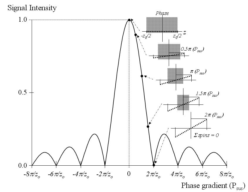 신호의 intensity distribution (a=0/z, 선형 phase RF pulse)