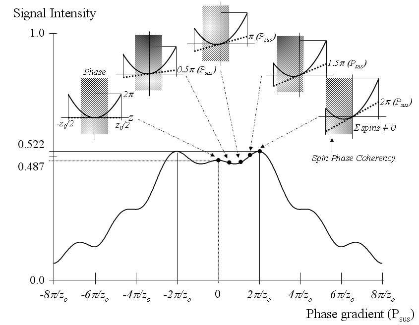 신호의 intensity distribution (a=2π/z, quadratic phase RF pulse)
