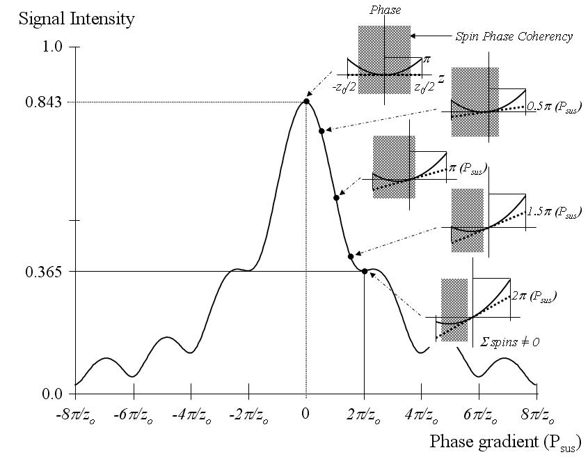 신호의 intensity distribution (a=π/z, quadratic phase RF pulse)