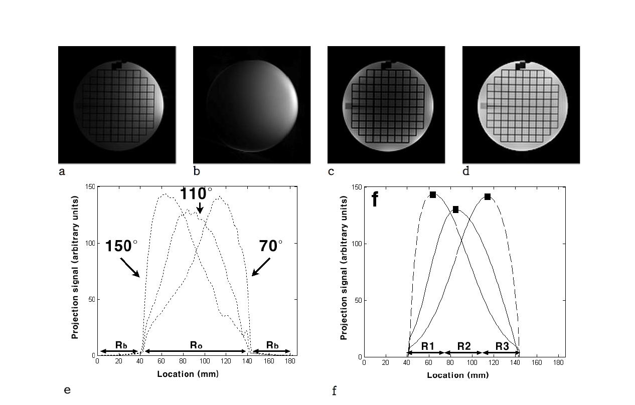 제안한 알고리즘 (a)각 채널별 영상, (b)sensitivity profile, (c)채널별 영상을 합친영상, (d)제안한 방법을 통한 밝기가 균등화된 영상, (e)projection profile, (f)3등분한 projection profile