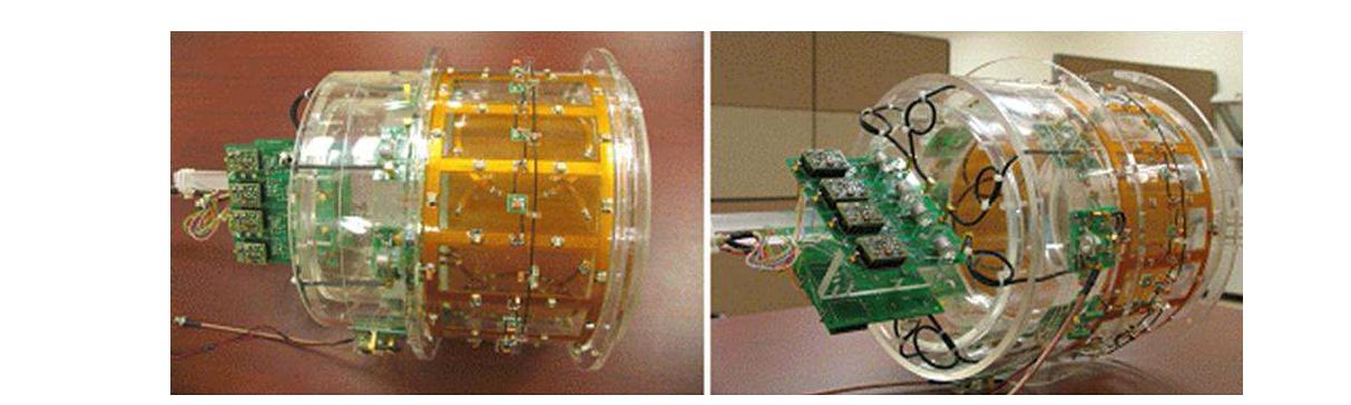 1st Version: BPF Birdcage Transmit-only Coil and 8 ch. Circular Coil