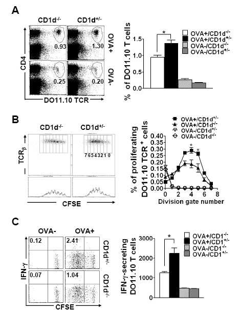 NKT 세포의 존재가 항원 특이적 CD4 T 세포의 in vivo 이차 면역 반응기에서 CD4 T 세포의 적절한 활성 에 중요.