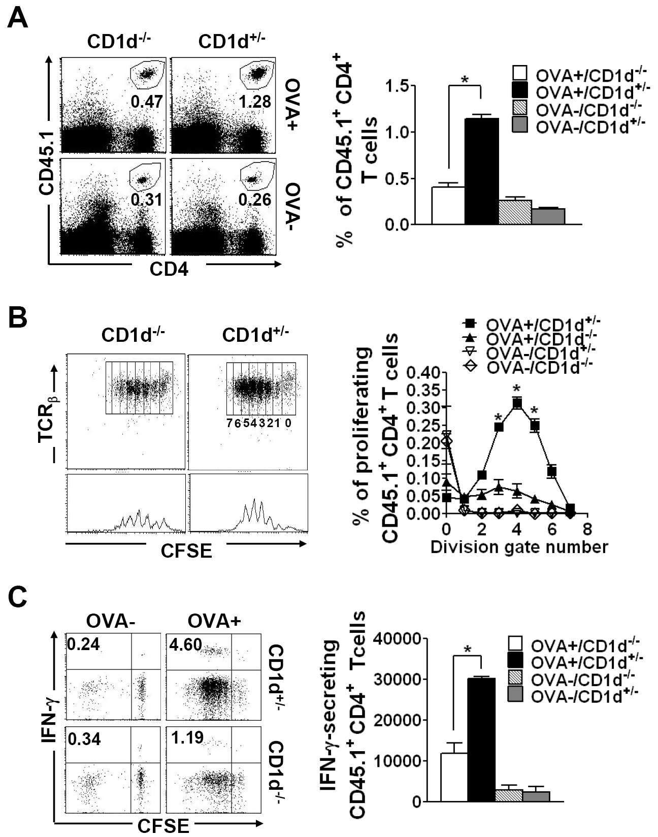 NKT 세포의 존재가 항원 특이적 CD4 T 세포의 in vivo 이차 면역 반응기에서 CD4 T 세포 의 적절한 활성에 중요.