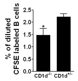 Recipient CD1d-/- 생 쥐와 CD1d+/- 생쥐에서 transfer 된 B 세포의 증식비율 조사.