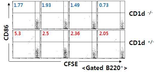 Recipient CD1d-/- 생쥐와 CD1d+/- 생쥐에서 transfer 된 B 세포에서 activation marker 인 CD86 발현조 사.