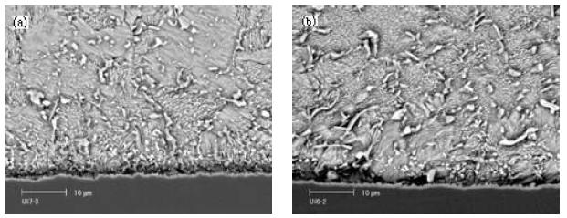 Interfacial microstructure of Sn3.0Ag0.5Cu solder bumps reflowed by ISHR (a) as-reflowed and (b) after aging 16 days at 120℃.