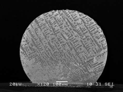 SEM images of solder bumps under a condition of Icoil = 29A, t= 2 s in the processing parameter region 3, the total reflow region.