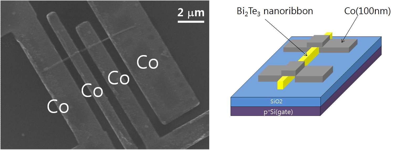 (좌) 강자성체인 Co 전극을 사용한 Bi2Te3 나노선 소자의 주사형전자현미경(SEM) 사진. (우) 위상 절연 스핀 소자의 모식도. 기판으로 실리콘 산화막이 형성된 실리콘(p++)을 사용하였다.
