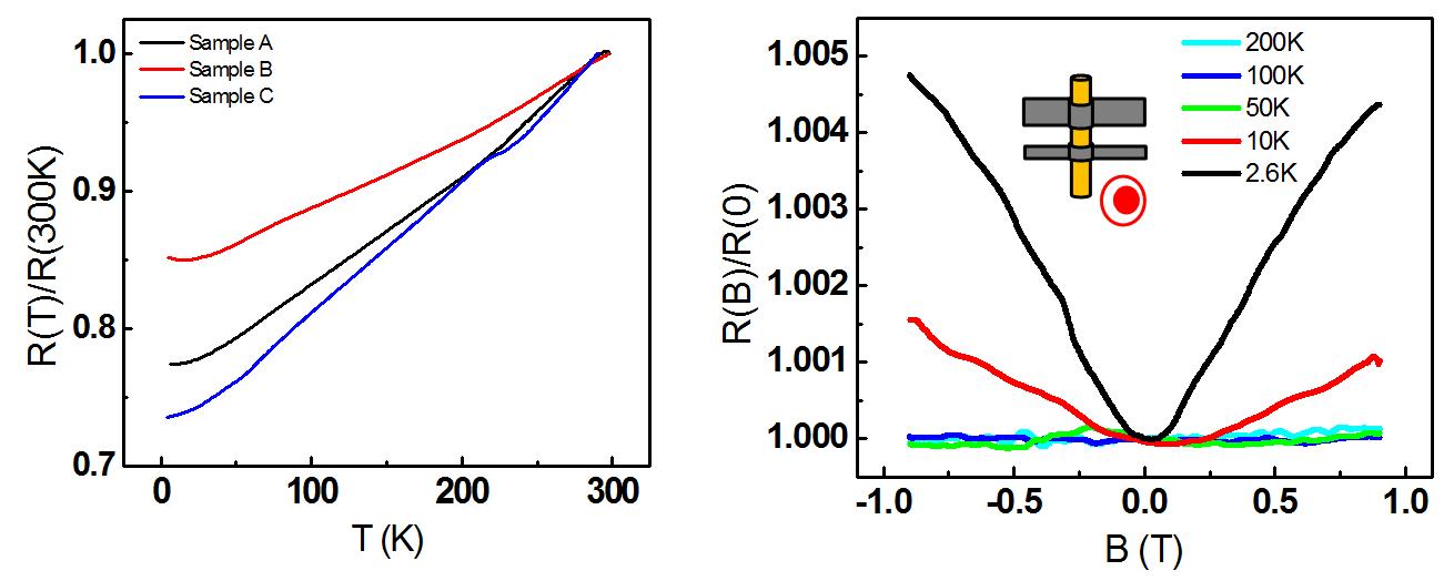 (좌) Bi2Te3 나노선 소자의 온도에 따른 저항 변화 곡선 데이터. 서로 다른 시료(#A, #B, #C)에 대해서 공통적으로 metallic behavior를 보인다. 온도가 약 20 K 정도에서 저항 감소 경향성은 급격히 완화되며 시료 #B의 경우에는 오히려 낮은 온도에서 저항이 증가하는 경향성을 보이기도 한다. (우) 소자 기판에 수직인 방향으로 자기장을 인가한 경우에 나타나는 자기저항의 증가 경향성을 보이는 데이터. 온도가 50 K 이상의 경우에는 자기 저항은 거의 일정하다가 낮은 온도 (10 K, 2.6 K)에서 positive magnetoresistance 경향성이 커지는 것을 볼 수 있다. 이는 Bi2Te3 나노선의 스핀-궤도 상호 작용의 결과로 나타나는 weak antilocalization (WAL)에 의한 효과로 해석된다.
